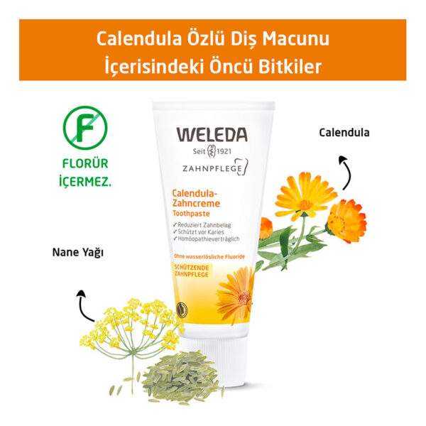 ⁦معجون أسنان عضوي بخلاصة الآذريون من ويليدا، 75 مل | Weleda⁩ - الصورة ⁦4⁩