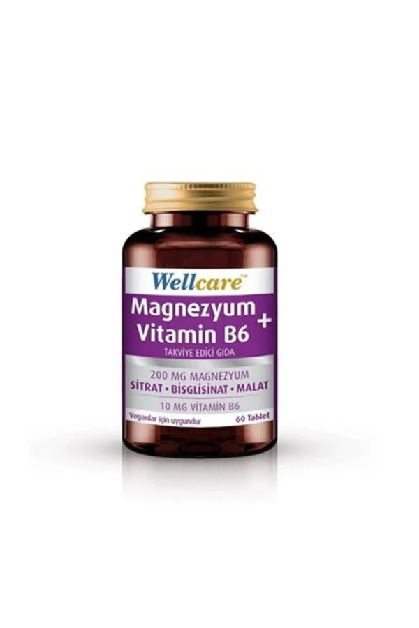 wellcare-magnesium-and-vitamin-b6-60-tablets-for-health-supports-energy-and-overall-wellbeing